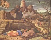 Andrea Mantegna The Agony in the Garden (nn03) oil on canvas